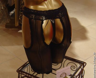 shopping Cannelle