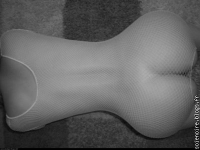 delice du web 1  hummmmm