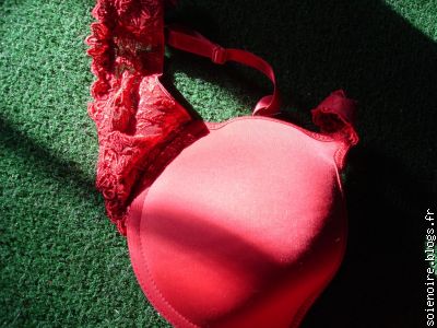 sg de ma femme coquine
