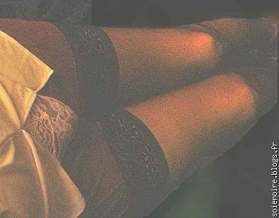Leggs1