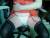 Coralie