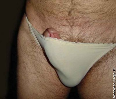 lycra 2